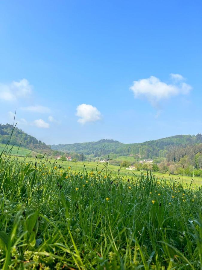 Black Forest Apartments Генгенбах Екстериор снимка